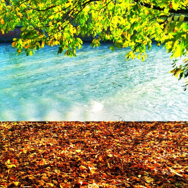 Autumn on river Dora