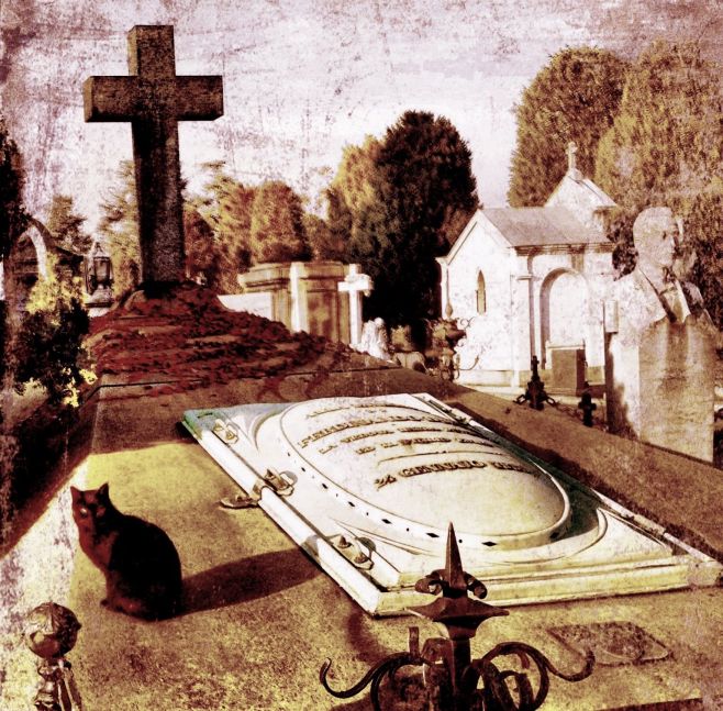The cemetery cat