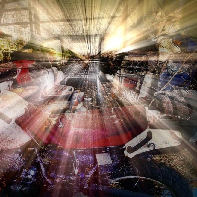 The secret of the shopping cart