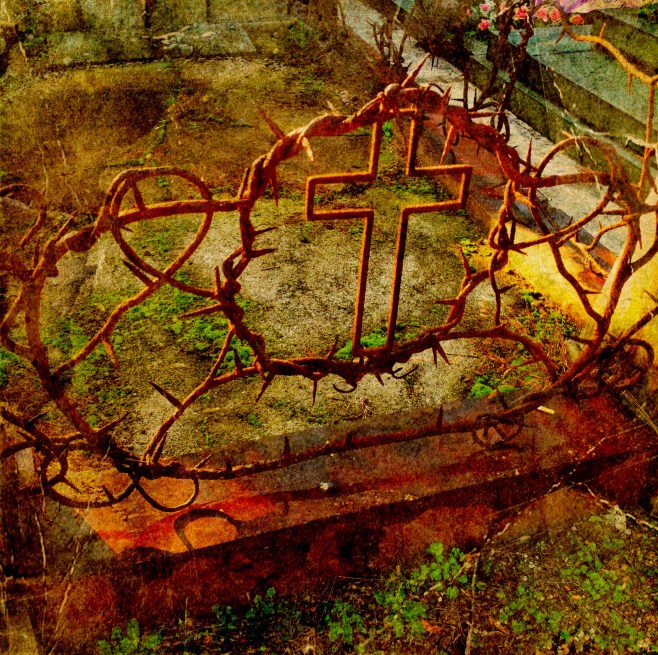 The cross and the thorns