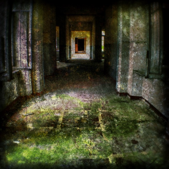 Walk down the mossy hall