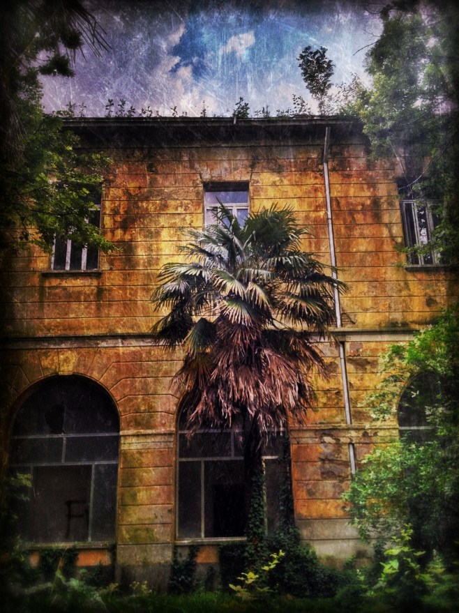 The psychiatric ward