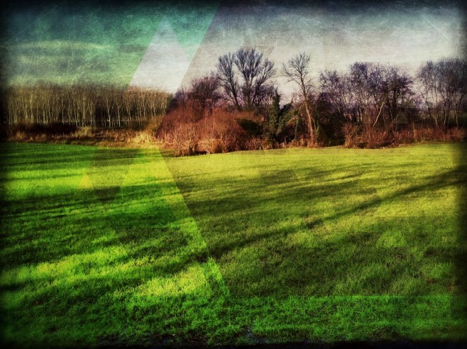 Secrets in the grass