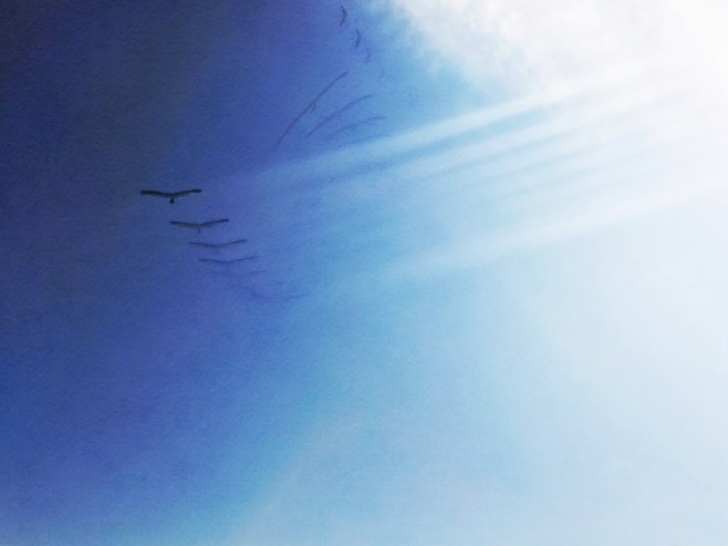 To have faith is to have wings. 1