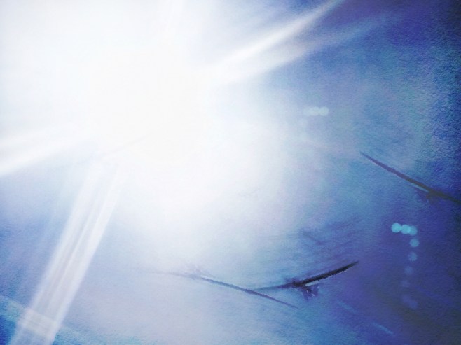 To have faith is to have wings. 2